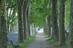 �����N�C���[�W